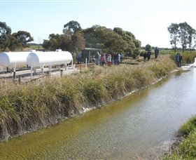 Cornalla Farm Tour - South Australia Travel 0