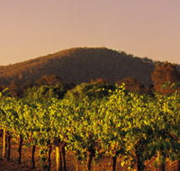 Taltarni Vineyards - South Australia Travel