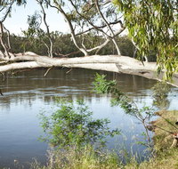 Murray Valley National Park - South Australia Travel