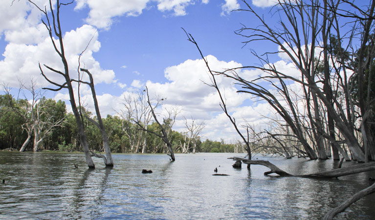 Gillenbah NSW South Australia Travel