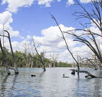 Murrumbidgee Valley National Park - South Australia Travel