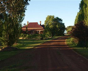 Pierrepoint Wines Cellar Door - South Australia Travel 0