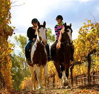 Billabong Ranch - South Australia Travel