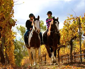 Billabong Ranch - South Australia Travel 0