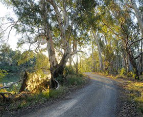 Alton Gallery - Echuca Moama Artists - South Australia Travel 0