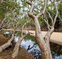Oyala Thumotang National Park CYPAL - South Australia Travel
