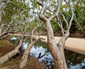Oyala Thumotang National Park (CYPAL) - South Australia Travel 0