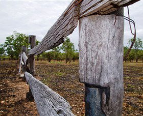 Oyala Thumotang National Park (CYPAL) - South Australia Travel 1
