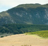 Langi Ghiran State Park - South Australia Travel