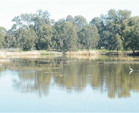 Narrandera Wetlands - South Australia Travel 1