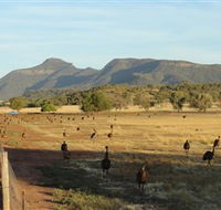 Emu Logic - South Australia Travel