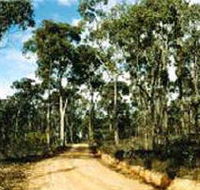 Paddys Ranges State Park - South Australia Travel