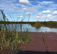 Gwydir Wetlands - South Australia Travel