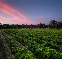 Amherst Winery - South Australia Travel