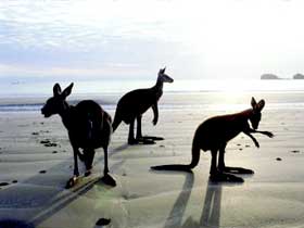 Hibiscus Coast - South Australia Travel 0