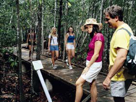 Hibiscus Coast - South Australia Travel 3