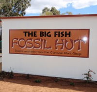 Big Fish Fossil Hut at Peak Hill - South Australia Travel