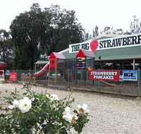 The Big Strawberry - South Australia Travel