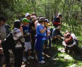Warrumbungle National Park Discovery Program - South Australia Travel 0