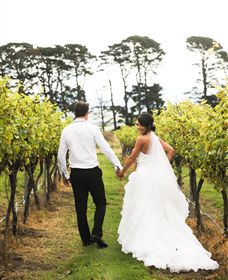 Quoin Hill Vineyard - South Australia Travel 2