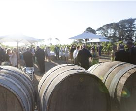 Quoin Hill Vineyard - South Australia Travel 6