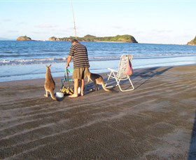 Cape Hillsborough National Park - South Australia Travel 0