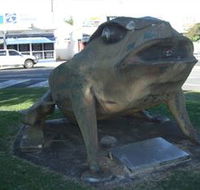 Big Cane Toad - South Australia Travel