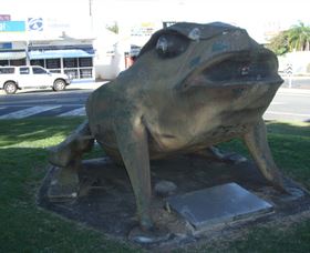 Big Cane Toad - South Australia Travel 0
