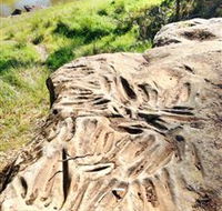 Terramungamine Rock Grooves - South Australia Travel