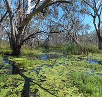 Macquarie Valley Trails - South Australia Travel