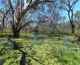 Macquarie Valley Trails - South Australia Travel 0