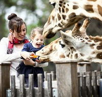Taronga Western Plains Zoo Dubbo - South Australia Travel