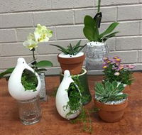 Cobram Florist - South Australia Travel