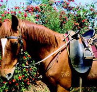 Western Plains Riding Centre - South Australia Travel