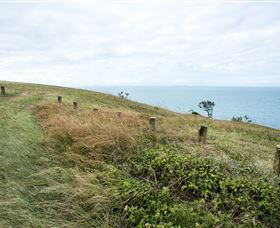 Cape Palmerston National Park - South Australia Travel 3