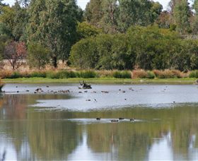 Waranga ACT South Australia Travel