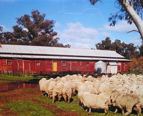 Savernake Day Tours - South Australia Travel 1