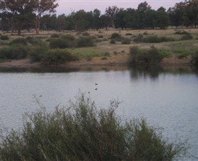 Savernake Day Tours - South Australia Travel 7