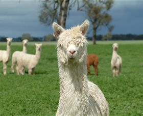 Creswick Woollen Mills - South Australia Travel 1