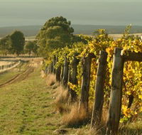 Captains Creek Organic Wines - South Australia Travel
