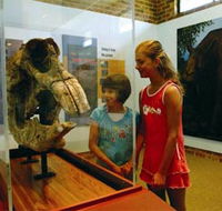 Australian Museum Diprotodon Exhibition