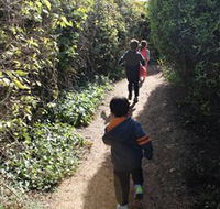 The Tangled Maze  Mistydowns Nursery - South Australia Travel