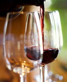 Ellender Estate - South Australia Travel 5