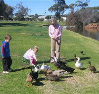 Roy Little Park Merredin - South Australia Travel