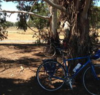 Murchison Rail Trail - South Australia Travel