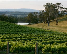 Baynton VIC South Australia Travel