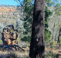 Eualdrie walking track - South Australia Travel