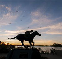 Black Caviar Statue - South Australia Travel