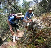 Mount Arthur Reserve - South Australia Travel