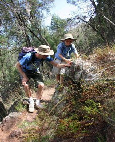 Mount Arthur Reserve - South Australia Travel 0